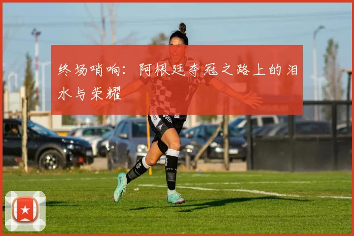 终场哨响：阿根廷夺冠之路上的泪水与荣耀