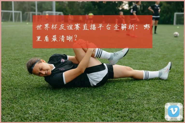 世界杯友谊赛直播平台全解析:哪里看最清晰?
