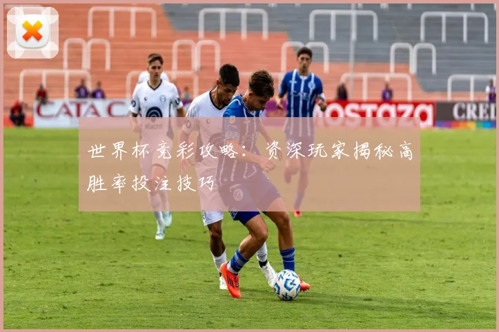 世界杯竞彩攻略:资深玩家揭秘高胜率投注技巧