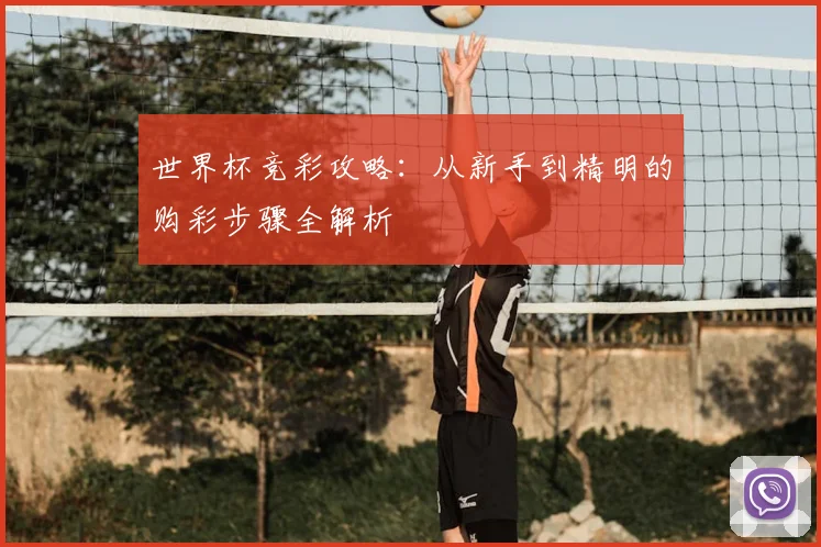 世界杯竞彩攻略:从新手到精明的购彩步骤全解析