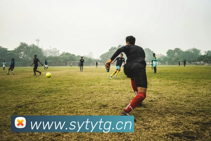 体育App